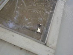 Bumpass, Virginia Scene