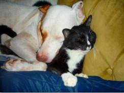 Bumpass, Virginia Scene